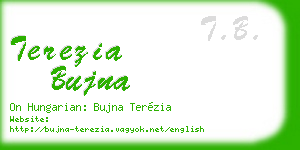 terezia bujna business card